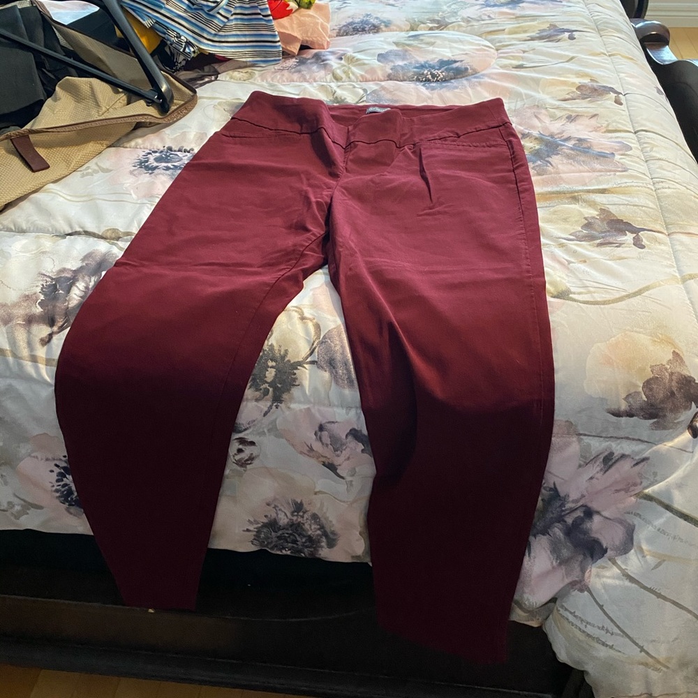 Dress pants